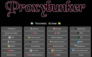 Proxybunker